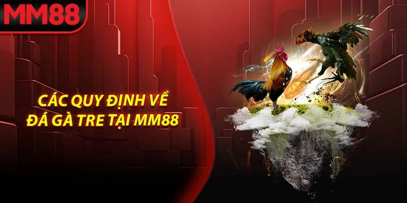 Các quy định về đá gà tre tại MM88