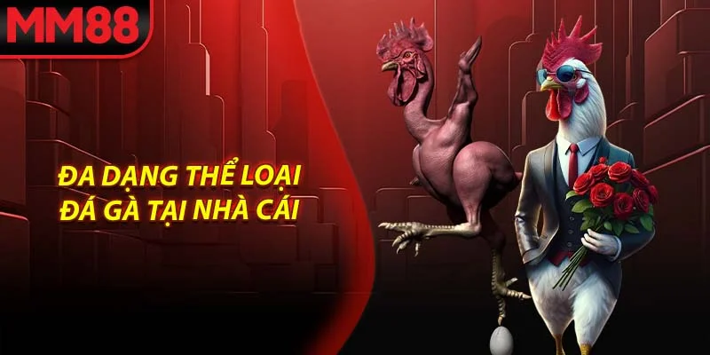 Đa dạng thể loại đá gà tại nhà cái
