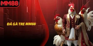 Đá gà tre MM88