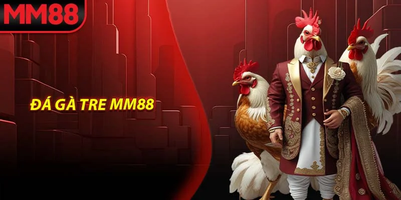 Đá gà tre MM88