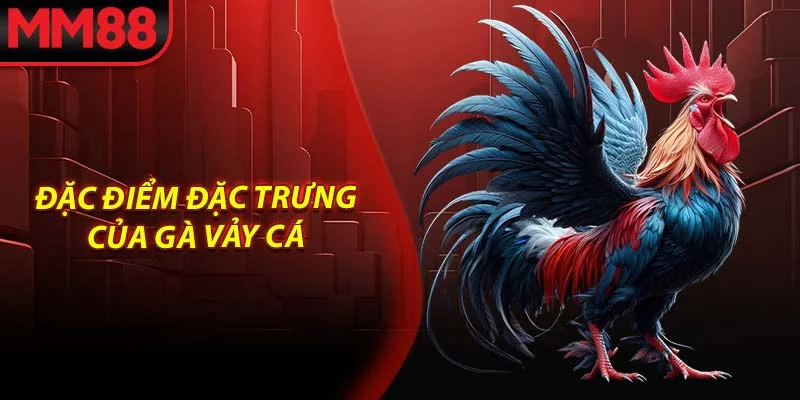 Đặc điểm đặc trưng của gà vảy cá