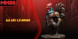 Gà vảy cá MM88