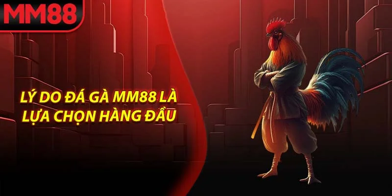 Lý do Đá Gà MM88 là lựa chọn hàng đầu