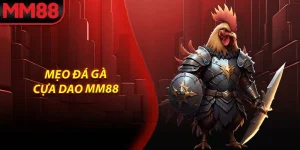 Mẹo đá gà cựa dao