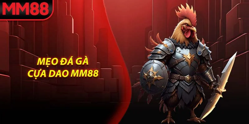 Mẹo đá gà cựa dao