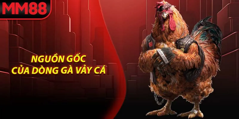 Nguồn gốc của dòng gà vảy cá