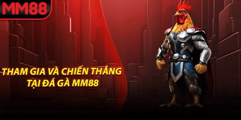 Tham gia và chiến thắng tại đá gà MM88