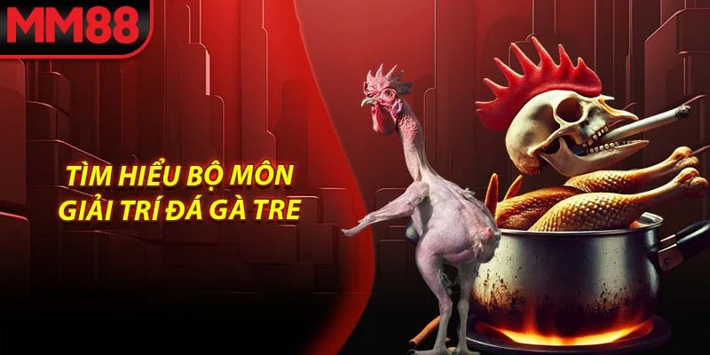 Tìm hiểu bộ môn giải trí đá gà tre