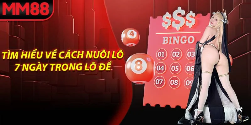 Tìm hiểu về cách nuôi lô 7 ngày trong lô đề