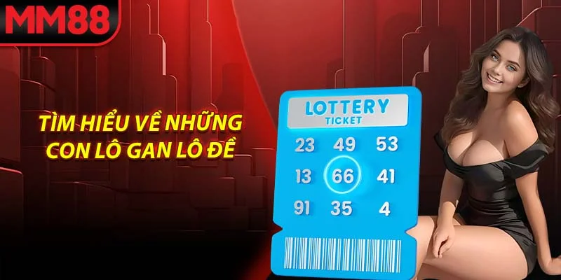Tìm hiểu về những con lô gan lô đề
